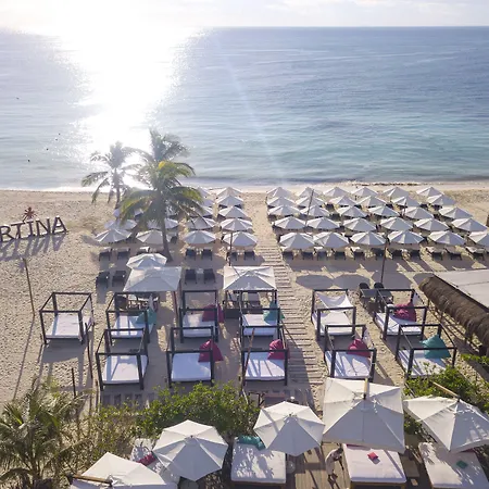 Illusion Xpress Downtown Playa